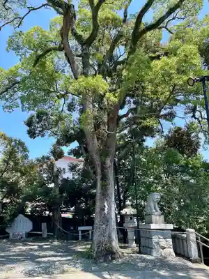 湯前神社(静岡県)