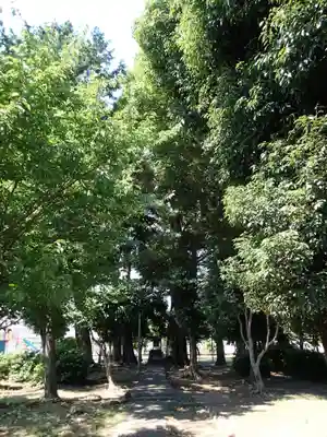 田中天神跡（稲木神社跡）の自然