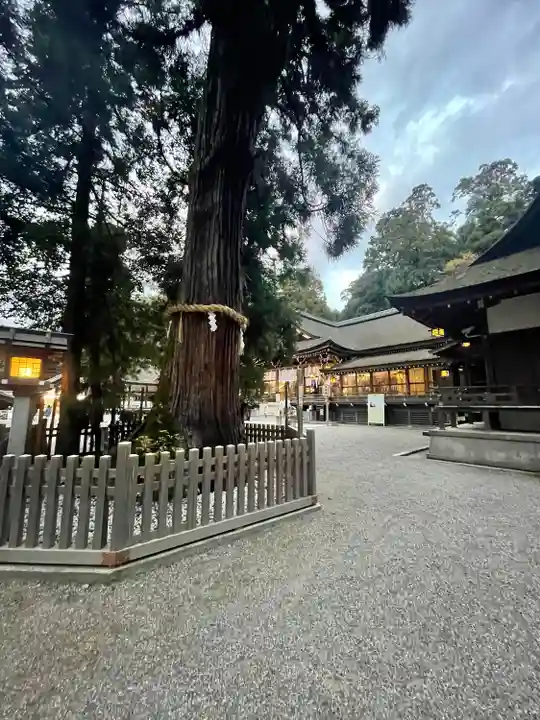 大神神社(奈良県)