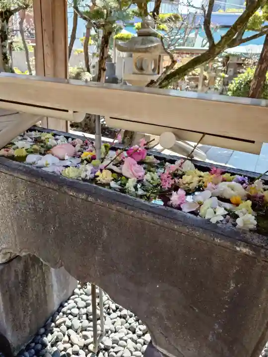 鳩森八幡神社(東京都)