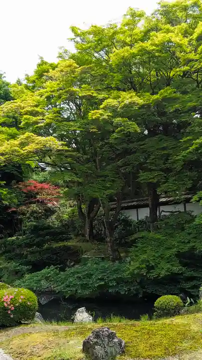御寺 泉涌寺(京都府)