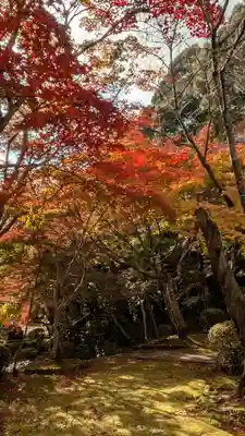 勝持寺（花の寺）(京都府)