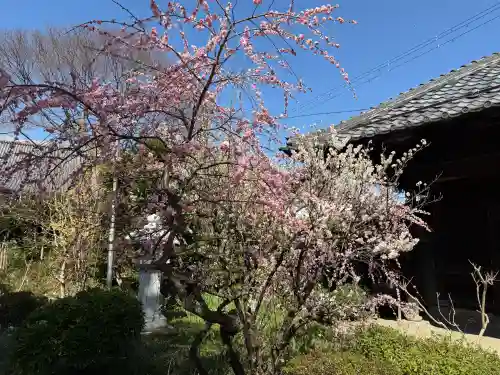 舎那院の{uncategorized: "未分類", other: "その他", undefined: "問題あり", building: "その他建物", grave: "お墓", sacred_gate: "鳥居", guardian: "狛犬", statue: "像", buddha: "仏像", history: "歴史", nature: "自然", garden: "庭園", animal: "動物", pagoda: "塔", temizu: "手水舎", mountain_gate: "山門・神門", sanctuary: "本殿・本堂", subordinate: "末社・摂社", art: "芸術", scenery: "景色", jizo: "地蔵", ema: "絵馬", goshuin: "御朱印", omikuji: "おみくじ", items: "授与品その他", amulet: "お守り", goshuincho: "御朱印帳", eats: "食事", festival: "お祭り", votive_dance: "神楽", shichigosan: "七五三参", wedding: "結婚式", experience: "体験その他", initially: "初詣", around: "周辺", anti_infection: "感染症対策"}