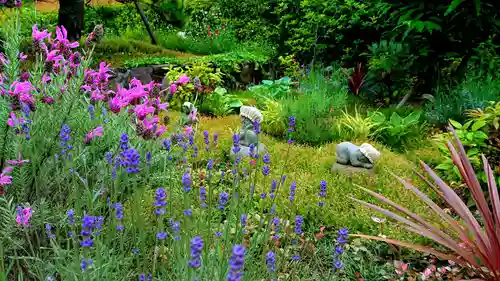 寿量山　速成寺の自然