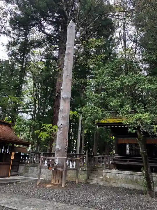 諏訪大社下社秋宮の自然