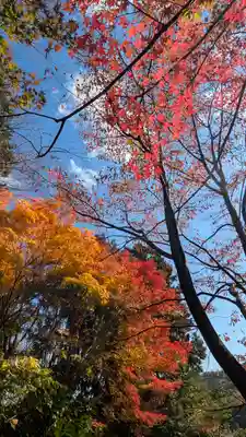 十輪寺(京都府)