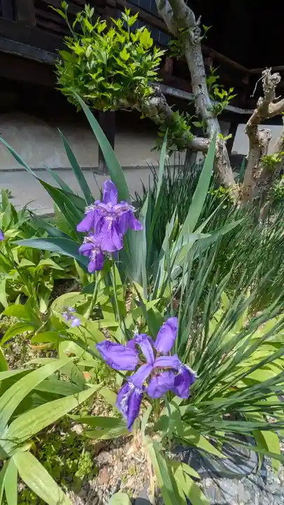 得浄明院(善光寺別院)(京都府)