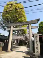 麻布氷川神社の鳥居