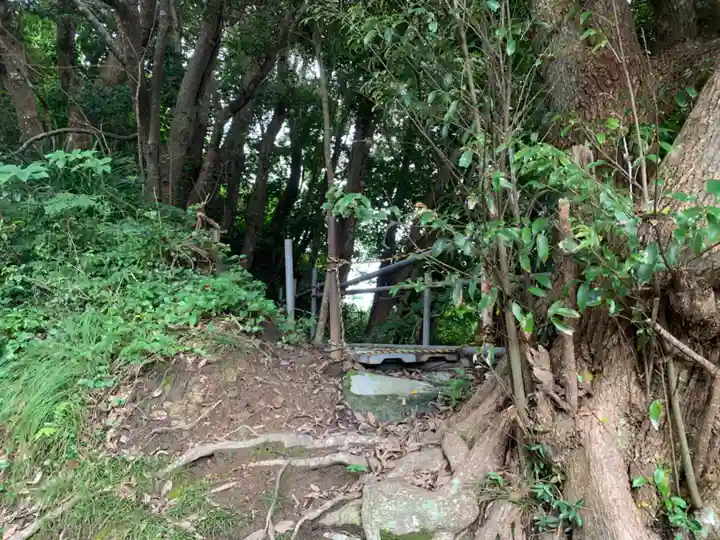 月夜見神社の自然