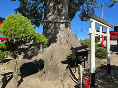 尾崎稲荷大明神(大阪府)