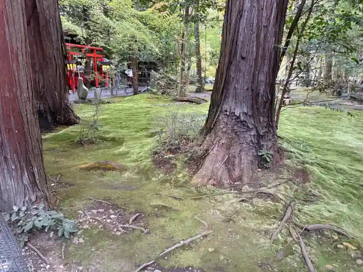 野宮神社(京都府)