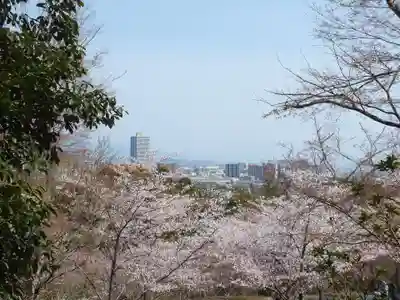 園城寺（三井寺）の自然
