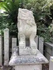 津田八幡神社の狛犬