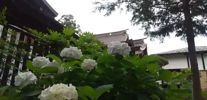 武蔵第六天神社の自然