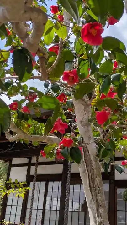 宝城庵(寶城禪菴)(大阪府)