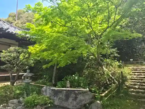白毫寺(奈良県)