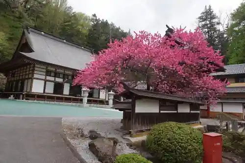 法華寺のその他建物