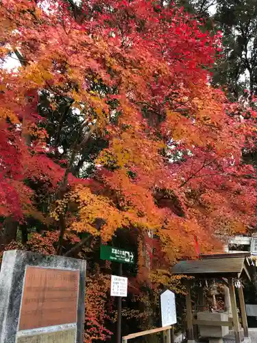 武雄神社の自然