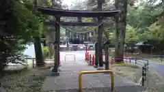 安房神社の鳥居