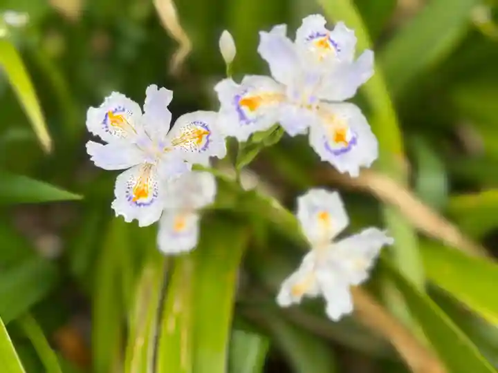 西方山極楽寺(岐阜県)