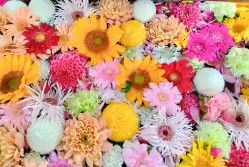海老江八坂神社(大阪府)