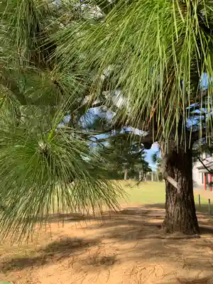潮音寺(茨城県)