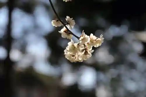 豊景神社の庭園