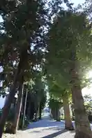 吉祥寺(埼玉県)