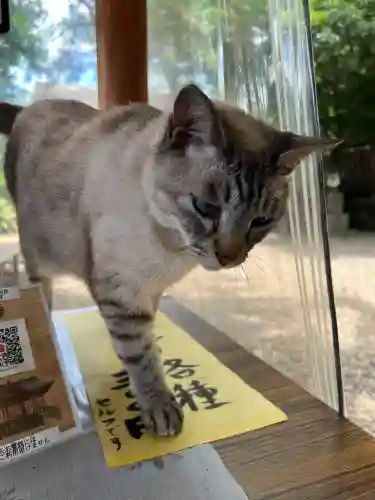 白鬚神社(宮崎県)