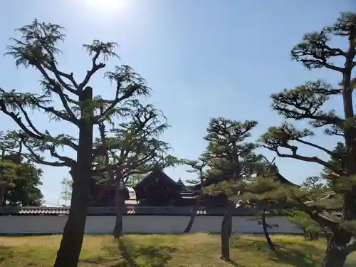 阿閇神社の本殿・本堂