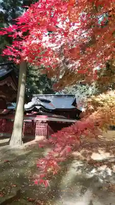 都々古別神社(八槻)の本殿・本堂
