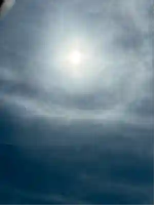 雀神社(茨城県)