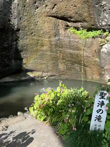 観音院(埼玉県)