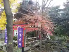 蛇窪神社の自然