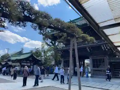 題経寺(柴又帝釈天)(東京都)