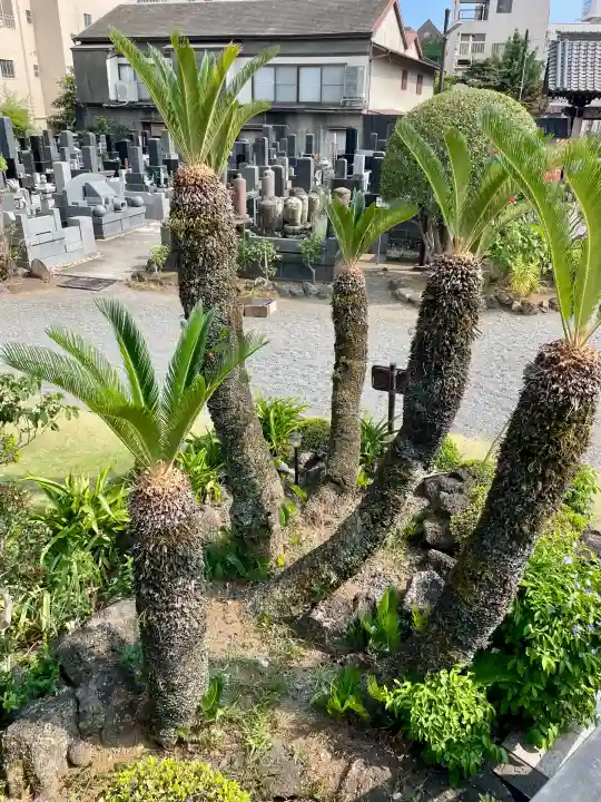 蓮馨寺(静岡県)