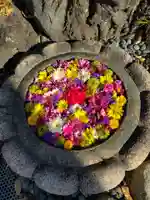 埼玉厄除け開運大師・龍泉寺(切り絵御朱印発祥の寺)の手水舎