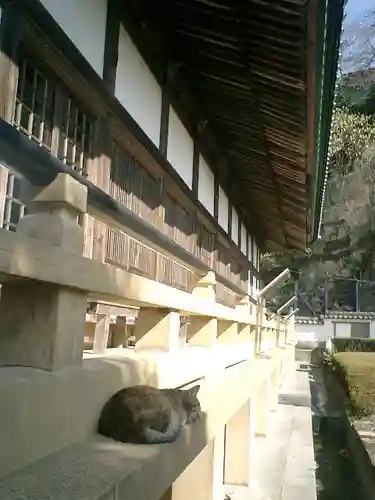 光明寺の本殿・本堂