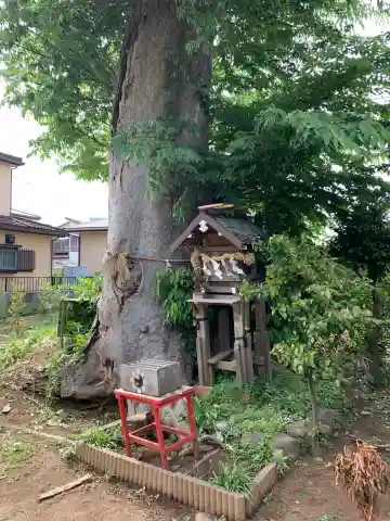 園生神社(千葉県)