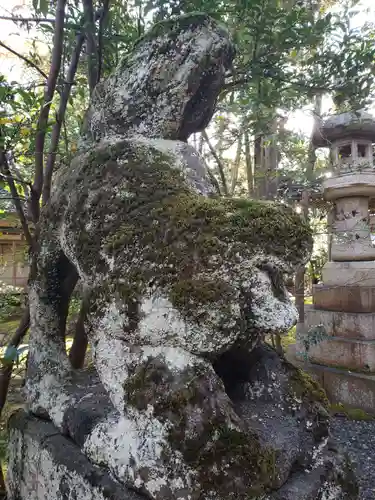 大野湊神社の狛犬