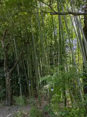 愛宕神社(岐阜県)