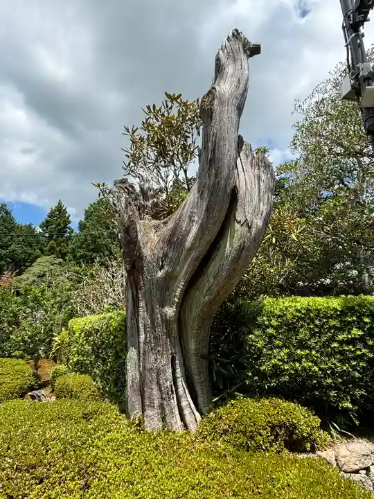正福寺(滋賀県)