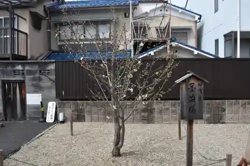墨染寺（桜寺）(京都府)