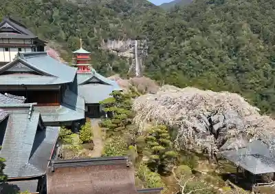 青岸渡寺の{uncategorized: "未分類", other: "その他", undefined: "問題あり", building: "その他建物", grave: "お墓", sacred_gate: "鳥居", guardian: "狛犬", statue: "像", buddha: "仏像", history: "歴史", nature: "自然", garden: "庭園", animal: "動物", pagoda: "塔", temizu: "手水舎", mountain_gate: "山門・神門", sanctuary: "本殿・本堂", subordinate: "末社・摂社", art: "芸術", scenery: "景色", jizo: "地蔵", ema: "絵馬", goshuin: "御朱印", omikuji: "おみくじ", items: "授与品その他", amulet: "お守り", goshuincho: "御朱印帳", eats: "食事", festival: "お祭り", votive_dance: "神楽", shichigosan: "七五三参", wedding: "結婚式", experience: "体験その他", initially: "初詣", around: "周辺", anti_infection: "感染症対策"}
