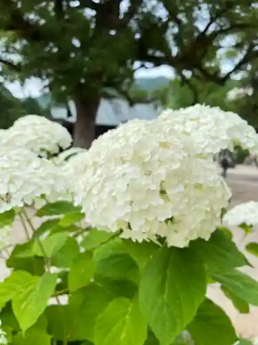 與止日女神社(佐賀県)