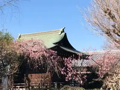五條天神社の本殿・本堂