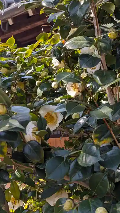 浄安寺(京都府)