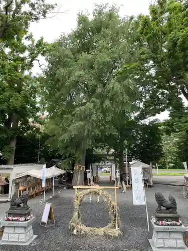 札幌諏訪神社の景色