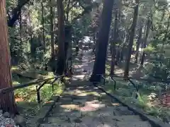 山宮浅間神社の建物その他