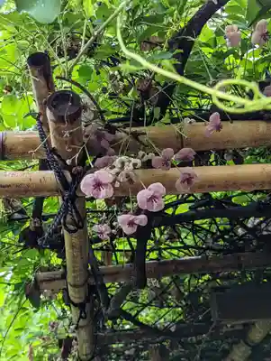 城南宮(京都府)